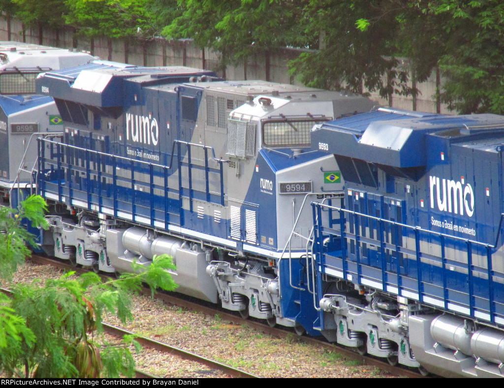 RUMO 9594
